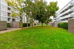 F43 1110STM Auriollaan104.jpg